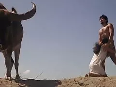 છોકરીઓ અશ્લીલ sexi ભાભી છે