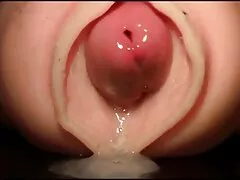 ગધેડામાં હોલિવૂડ હોટ સેક્સ
